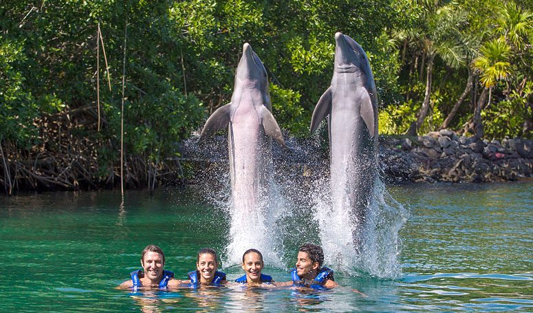 Delfines Interax + Xel-Há Todo Incluido — foto 3