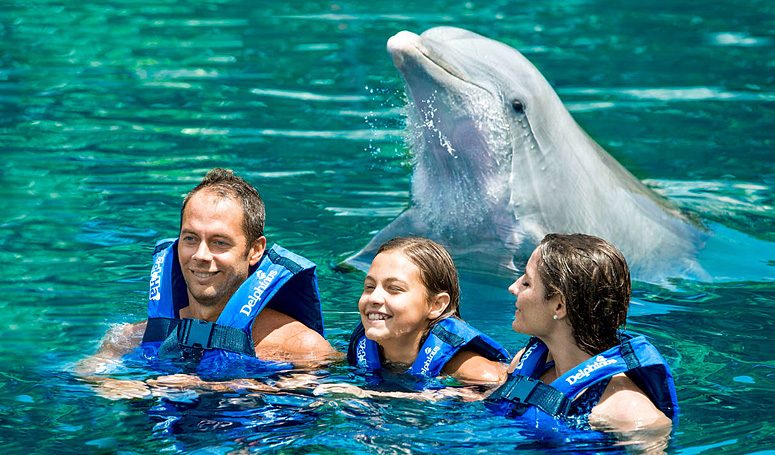 Delfines Interax + Xel-Há Todo Incluido