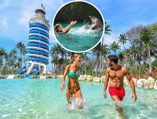Dolphins Interax + Xel-Há All Inclusive