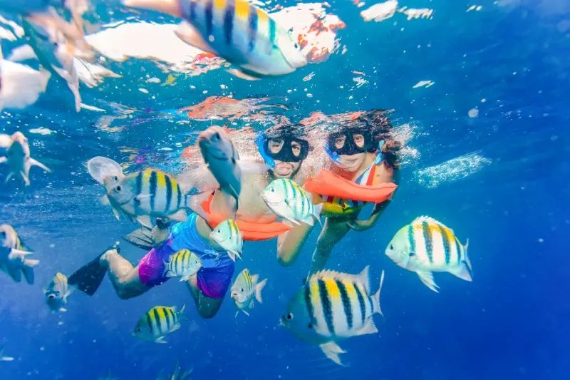 Isla Mujeres Full — photo 2