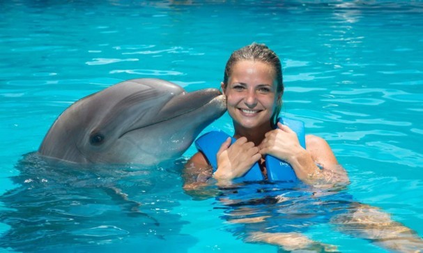 Swim with Dolphins: The One