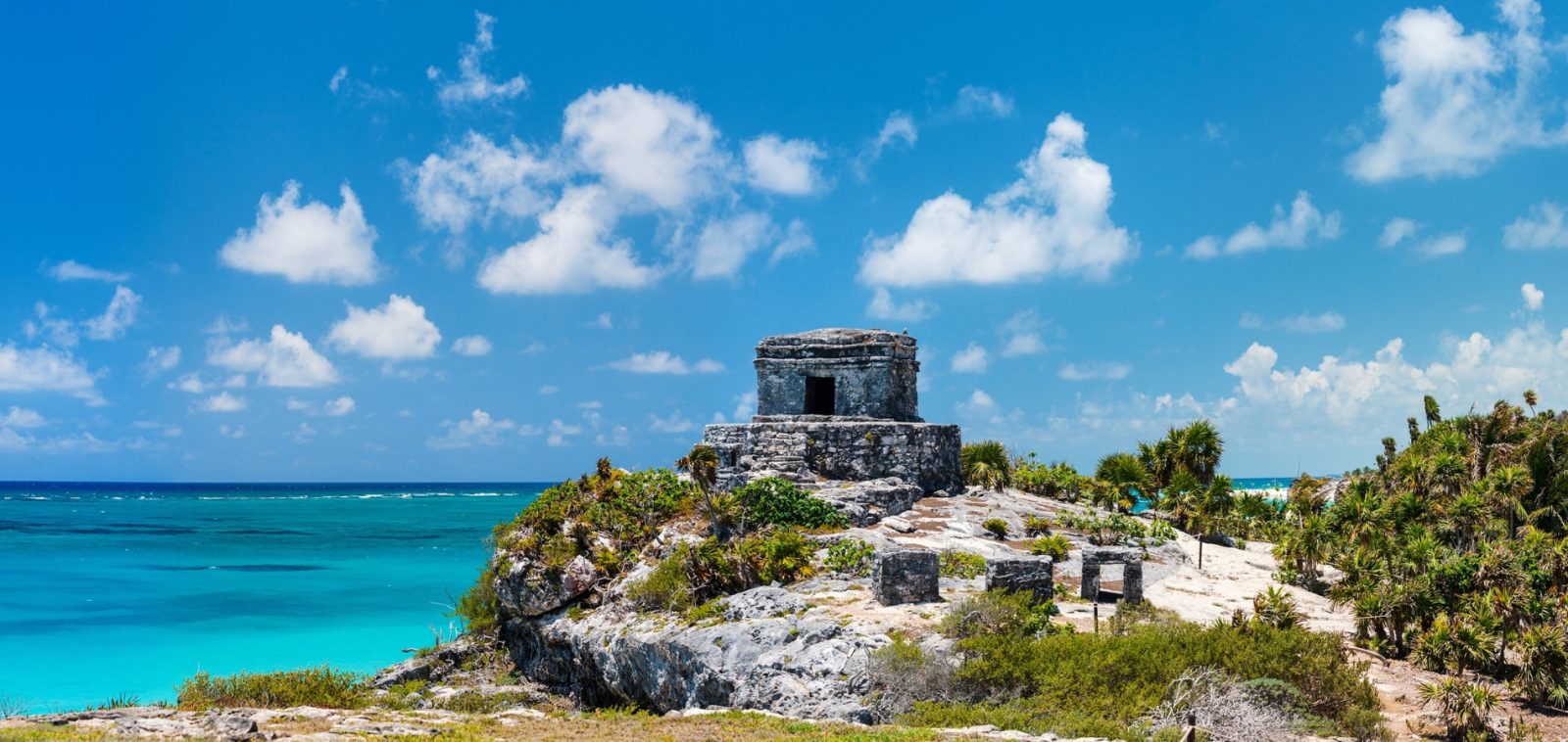 Tulum, Cenote y Tortugas — foto 3